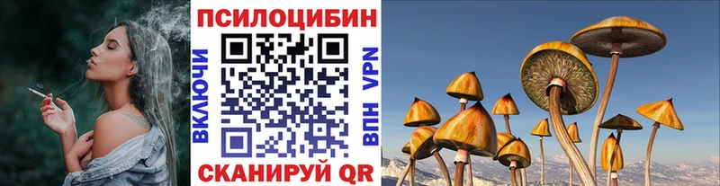 Купить  Комсомольск-на-Амуре  Галлюциногенные грибы MAGIC MUSHROOMS 